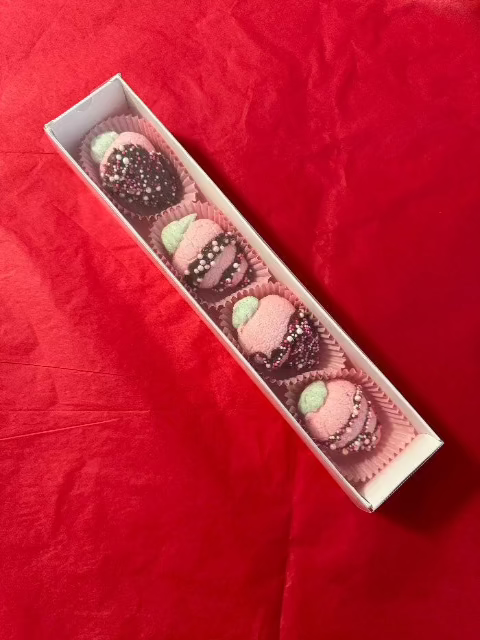 Chocolate covered freeze-dried strawberries